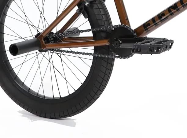 Fiend BMX Trans Brown Type O Freestyle BMX, 20.5 Inch TT : Amazon